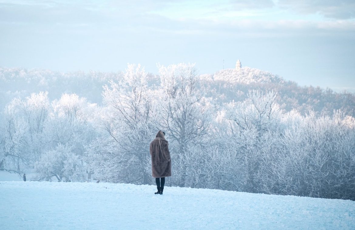 Frost embraces the branches in a winter wonderland she walks compelled to look back but instead asks what matters
