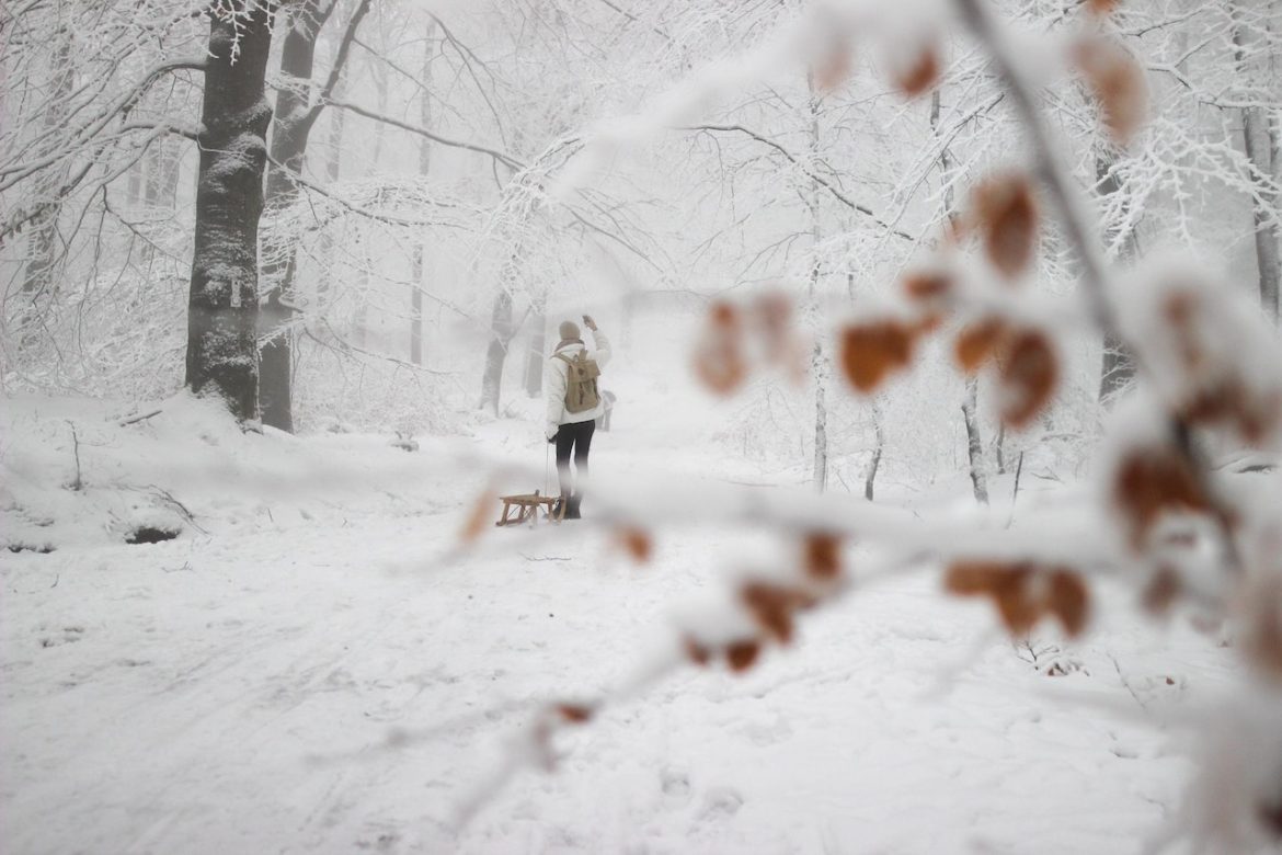 Life is life make it special enjoy a snowy trail with frost laced branches on an overcast day where friends enjoy each other's company