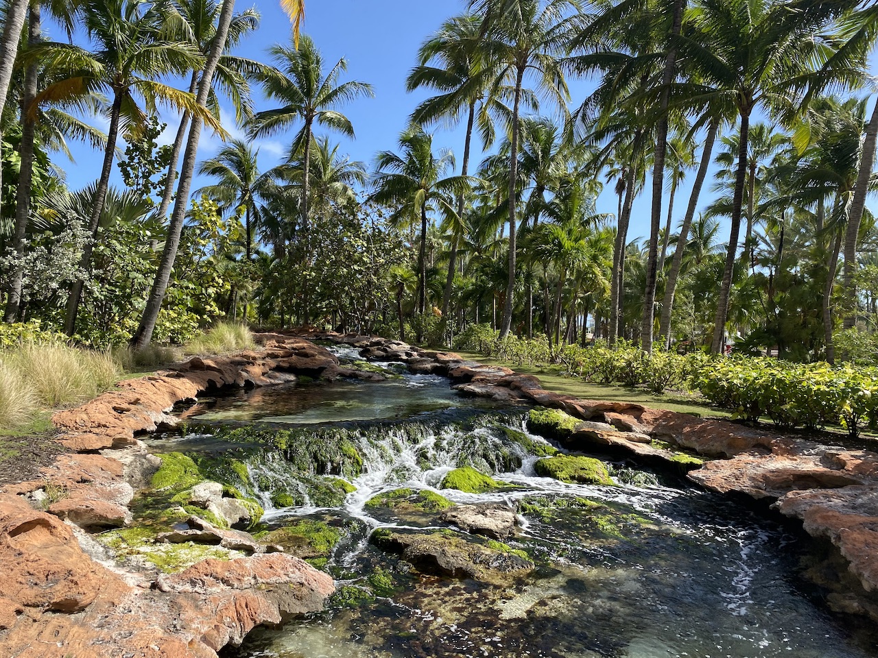 Throughout the Atlantis Bahamas Resort are impeccable vistas