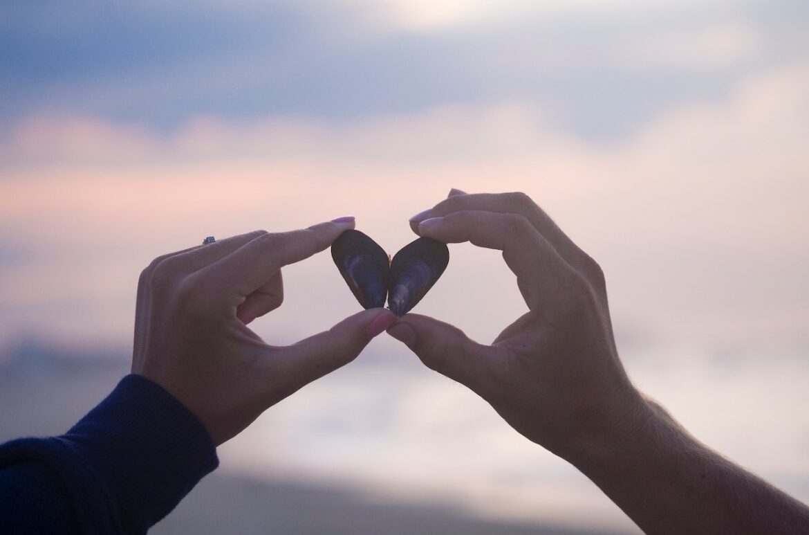 Attracting love that lasts a lifetime at sunset on the beach a couple's hands hold two shells together to shape a heart