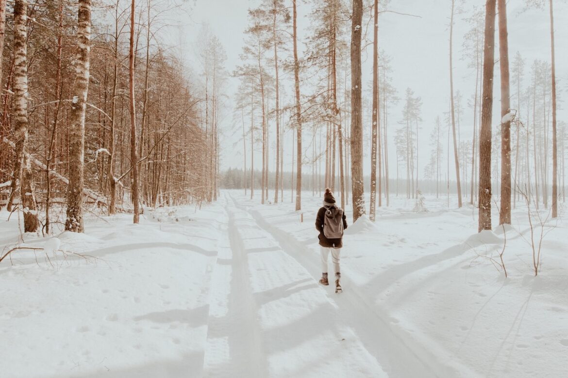The trail walk on a brilliant winter day, he walks along the pathway lined with trees understanding how to overcome distractions.